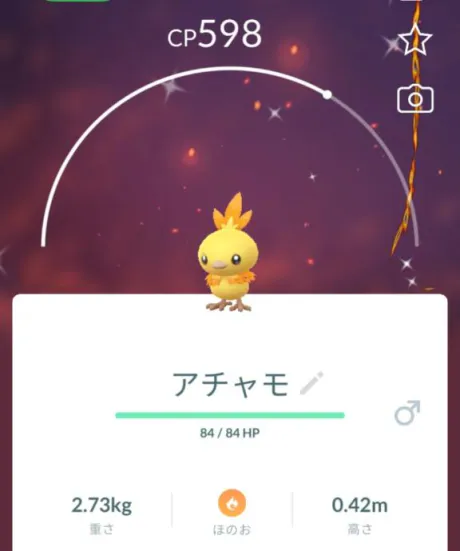 ひな奥様メモリアル