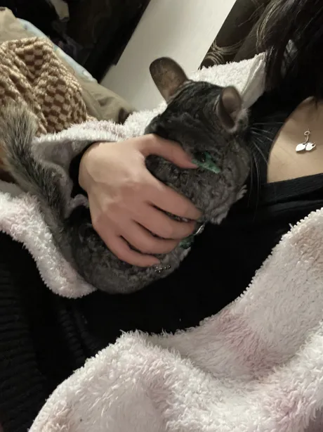 ⭐️昨日は🔶/えま[青森]