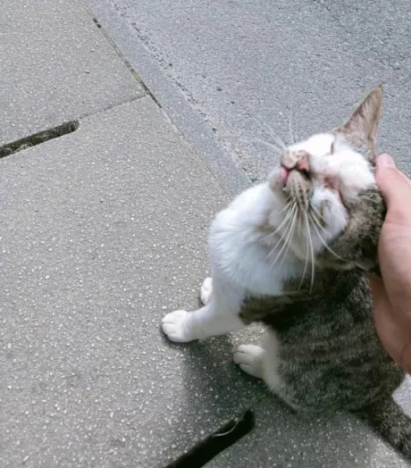 可能性