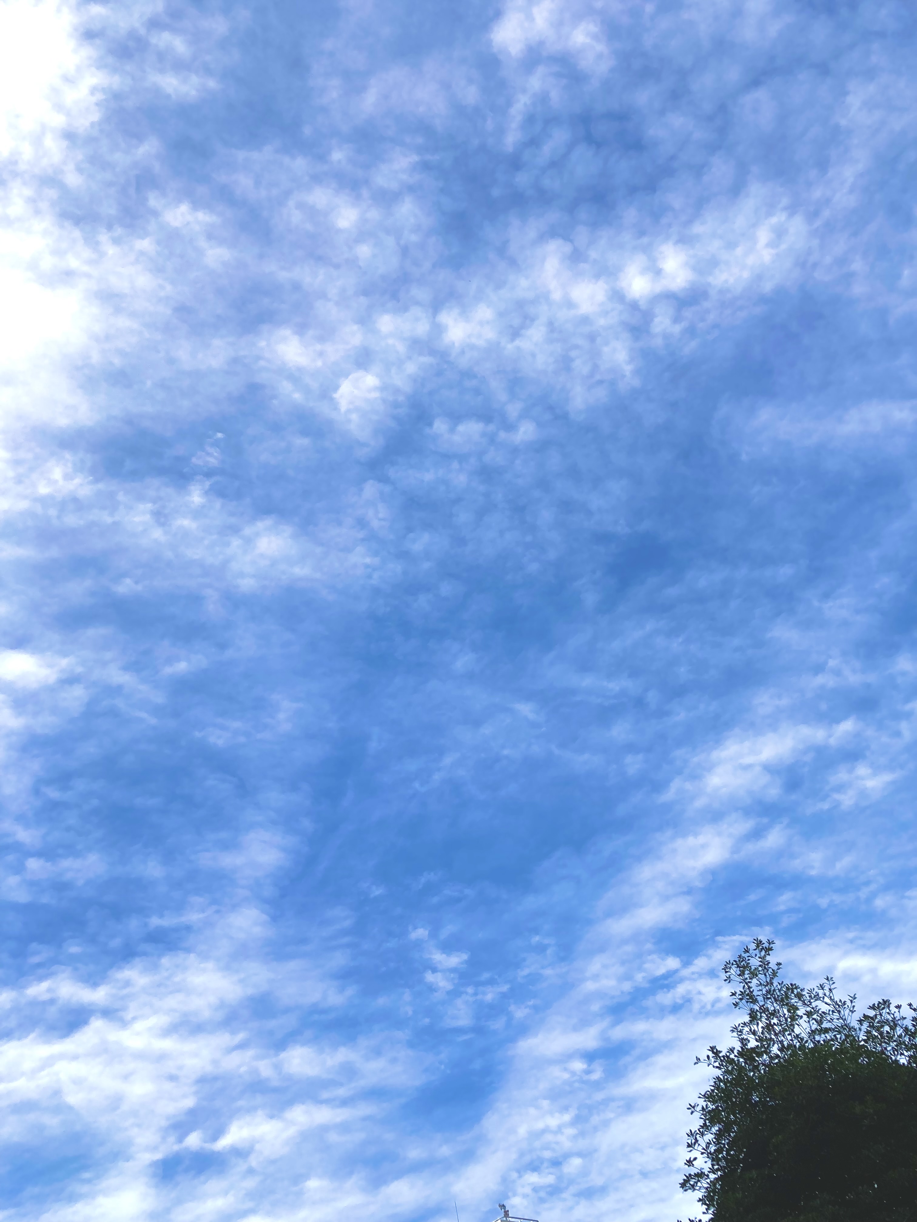 7月19日