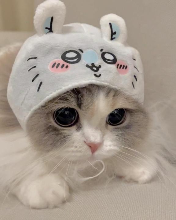 ありがとう❣️