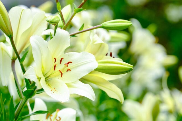 2/10体験入店🌸ゆり🌸Moist八戸