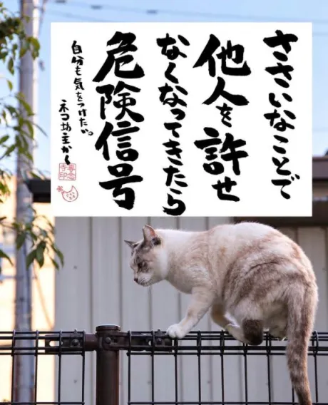 シオン人妻生レンタルーNTRー