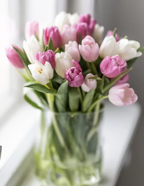 春🌷/小田　あかり