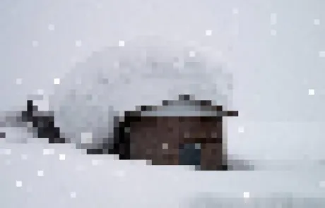 ひつじ奥様メモリアル