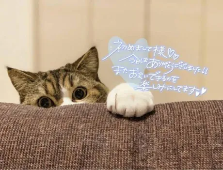 仲村（なかむら）熟女屋本舗