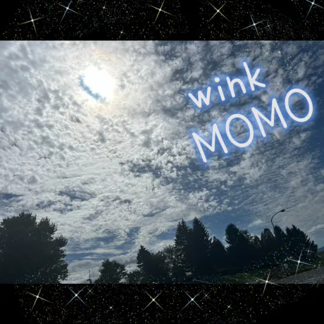 お知らせ⋆͛📢/NEW★モモ