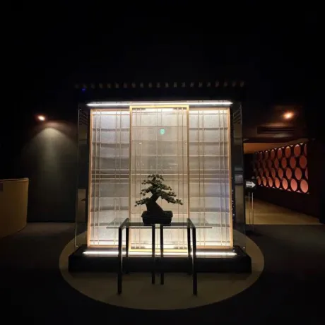 えな弘前4/2入店青森･弘前人妻デリヘル桃屋