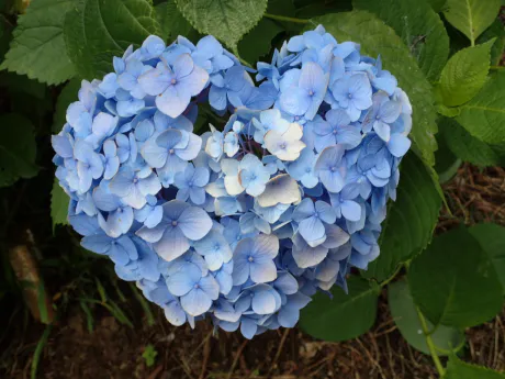 みさこのブログ お礼です💌