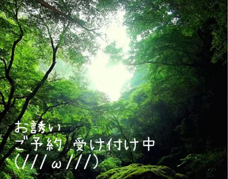 来週の スケジュール