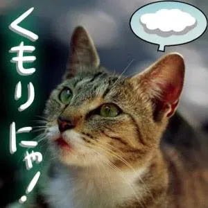 こんにちは！