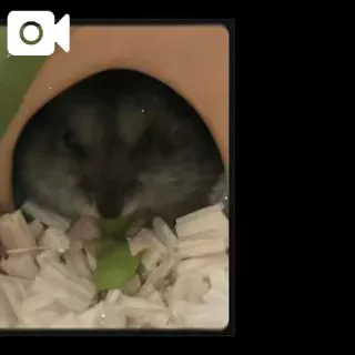 みなこ　奥様SUTEKIな奥様は好きですか？