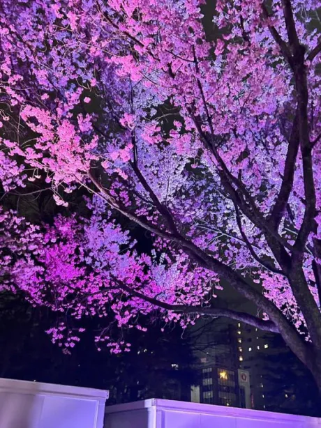 ルミロイヤルクラブ