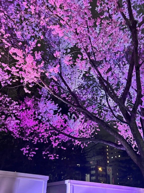 ルミロイヤルクラブ