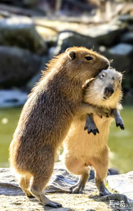 みき63歳【青】熟女専門店