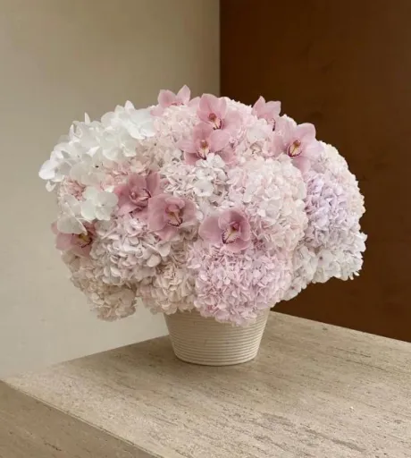桃花(ももか)グランドオペラ福岡