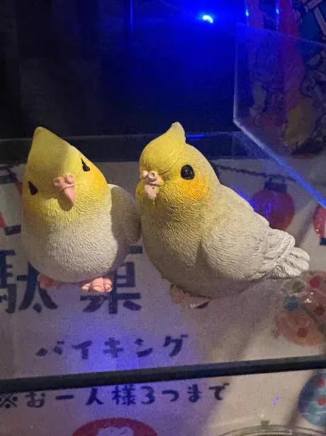 あず奥様メモリアル