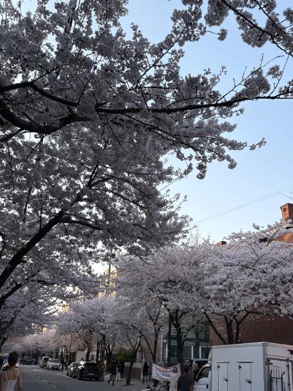 ななこのブログ 14:30～最大40分のみ🈳