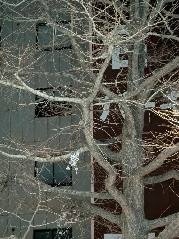 お疲れ様です😊