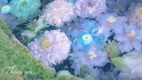昨日のお礼です💌💕