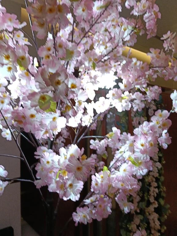 ゆみおばさんの店　仙台FC