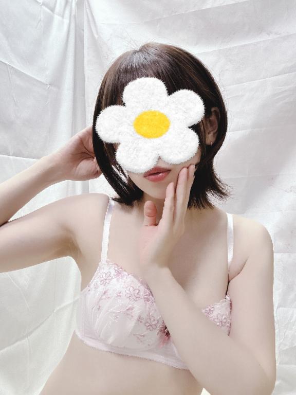 本日！よる！