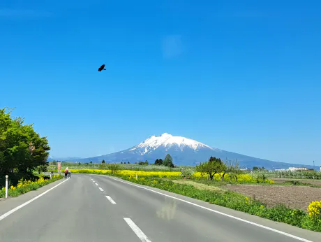 土日今週弘前でます♪