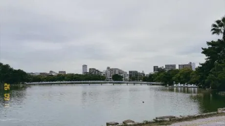 今朝の一枚/恵梨(えり)
