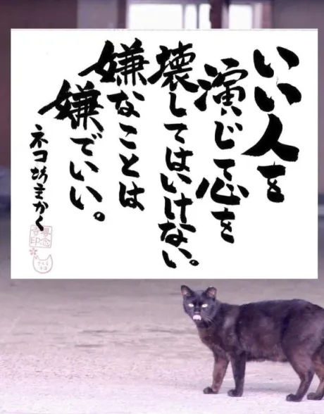 シオンのブログ 更新したよ🌼