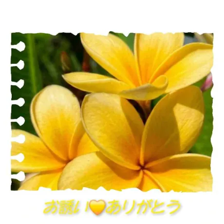 お誘い❤️ありがとう