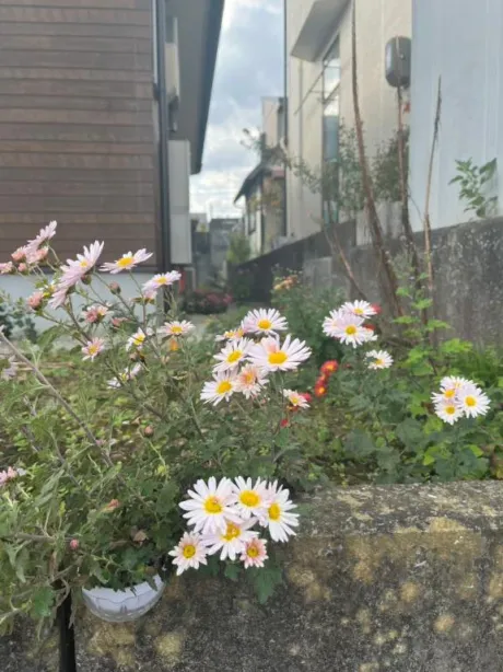 我が家庭🏡/ルイ