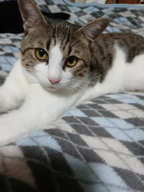 まゆのブログ 出勤します🥰