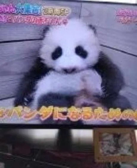 ヒロコ人妻生レンタルーNTRー