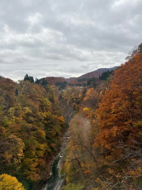 しずくぽっちゃり素人専門店 愛されぽっちゃり倶楽部 秋田店