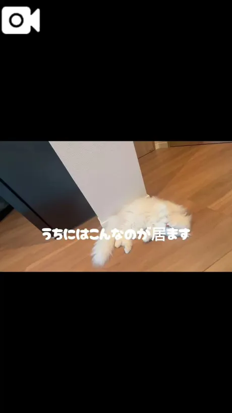 美月(みづき)グランドオペラ福岡