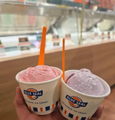 BLUE SEAL🍨