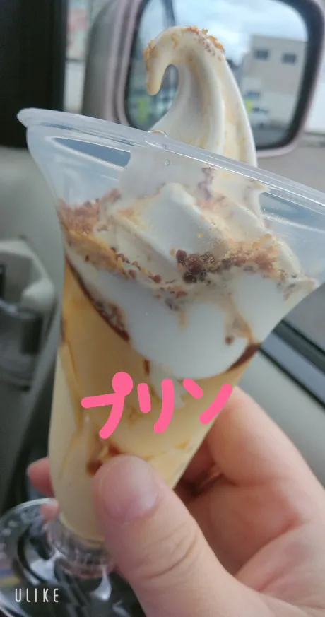 プリン🍮/緊急入店マオリ(弘前)
