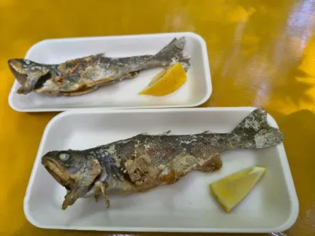 後藤(ごとう)熟女屋本舗