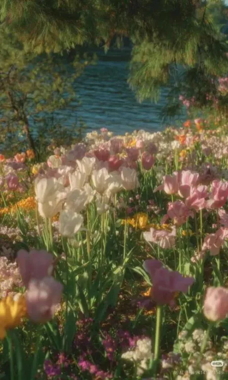 ランプライベートレッスン