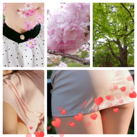 美しいみなこ【青森】のブログ 新緑