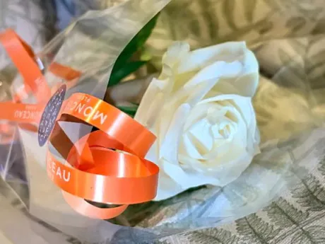 🤍🌹🤍/ゆかり