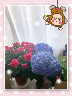 ムダじゃなかった…/よしえ 奥様