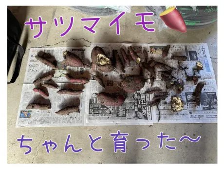 かなえM-1 福島壱萬店