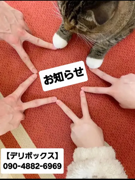 めい (魅惑のEカップ、パイパン嬢)デリボックス
