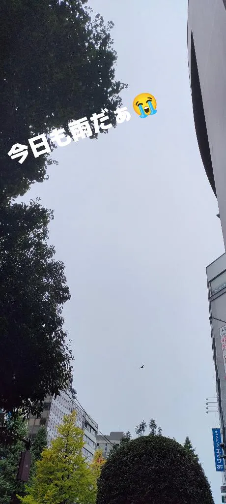 ゆりかデリヘルで遊ぼう!!-仙台店-