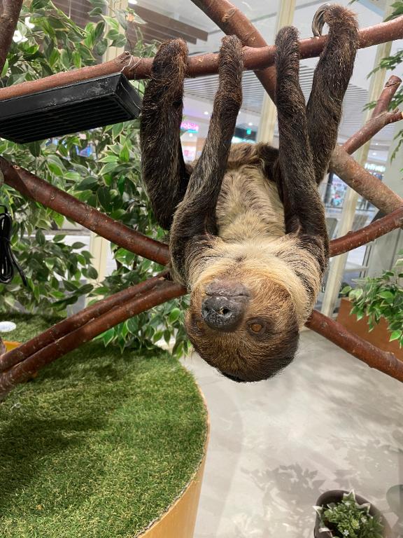 お疲れ様でした❤️