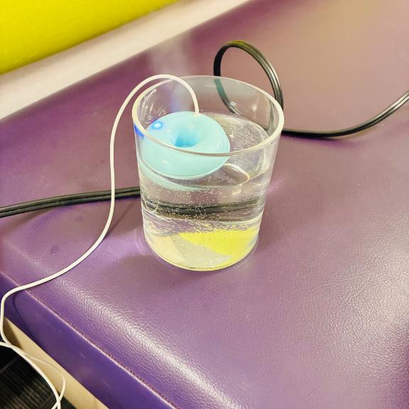 お願いします/ほなみ