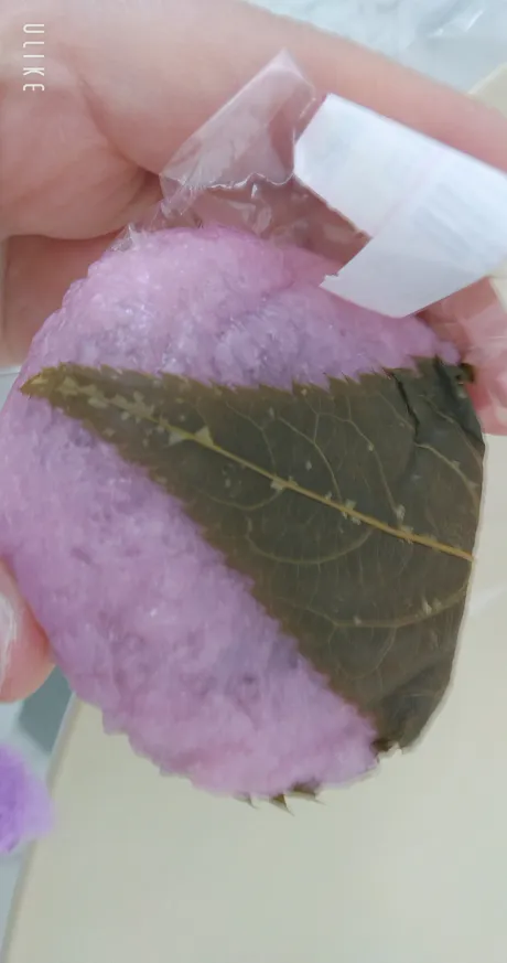 おはよん/緊急入店りのあ【弘前】