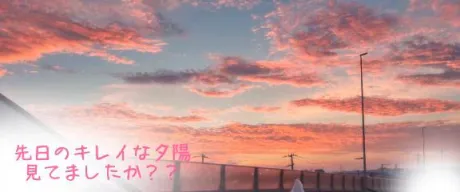 かえで愛 LAND-アイランド-