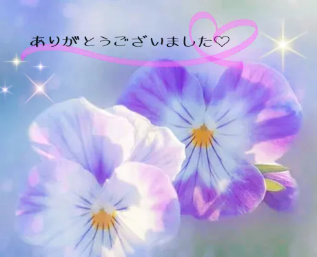 本日のお礼/ゆりか